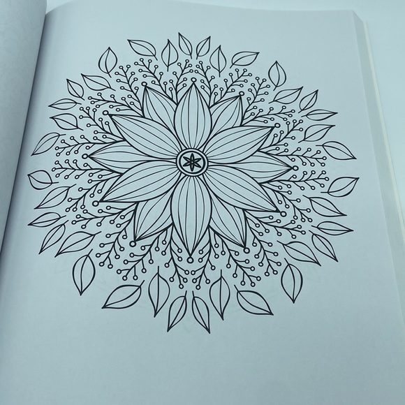 The Complete Book of Coloring For Grown Ups - Picture 5 of 6
